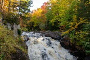 waterfall in a forest