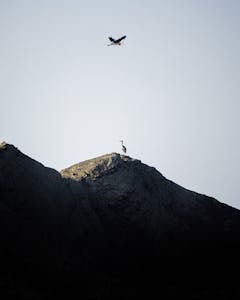 Free stock photo of balochistan, beautiful, composition