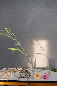 Simple floral arrangement with soft lighting casting shadows on the wall.